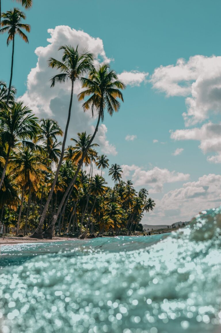 vertical-shot-palm-trees-sandy-beach-scaled.jpg